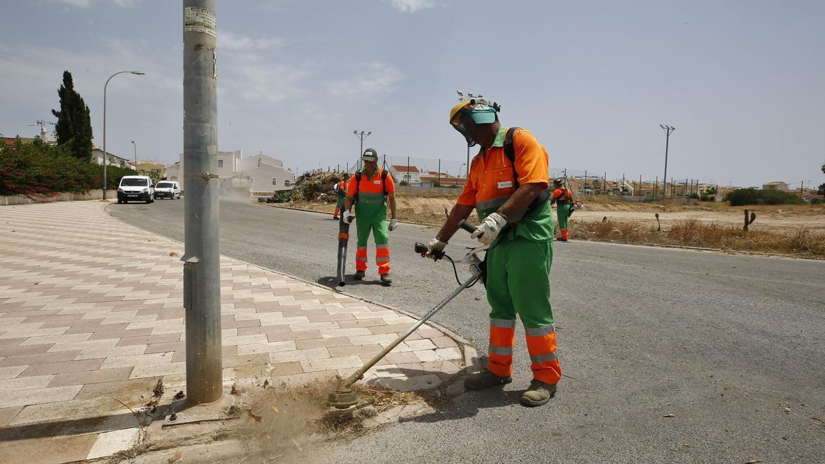 Imagen del despliegue de los operarios en el plan de choque en la zona de San Luis en el verano de 2019