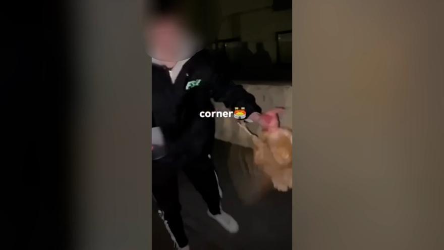 Denunciados 39 jóvenes por utilizar una gallina como un balón de fútbol en La Rioja