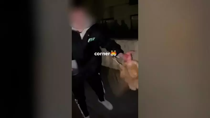 Denunciados 39 jóvenes por utilizar una gallina como un balón de fútbol en La Rioja
