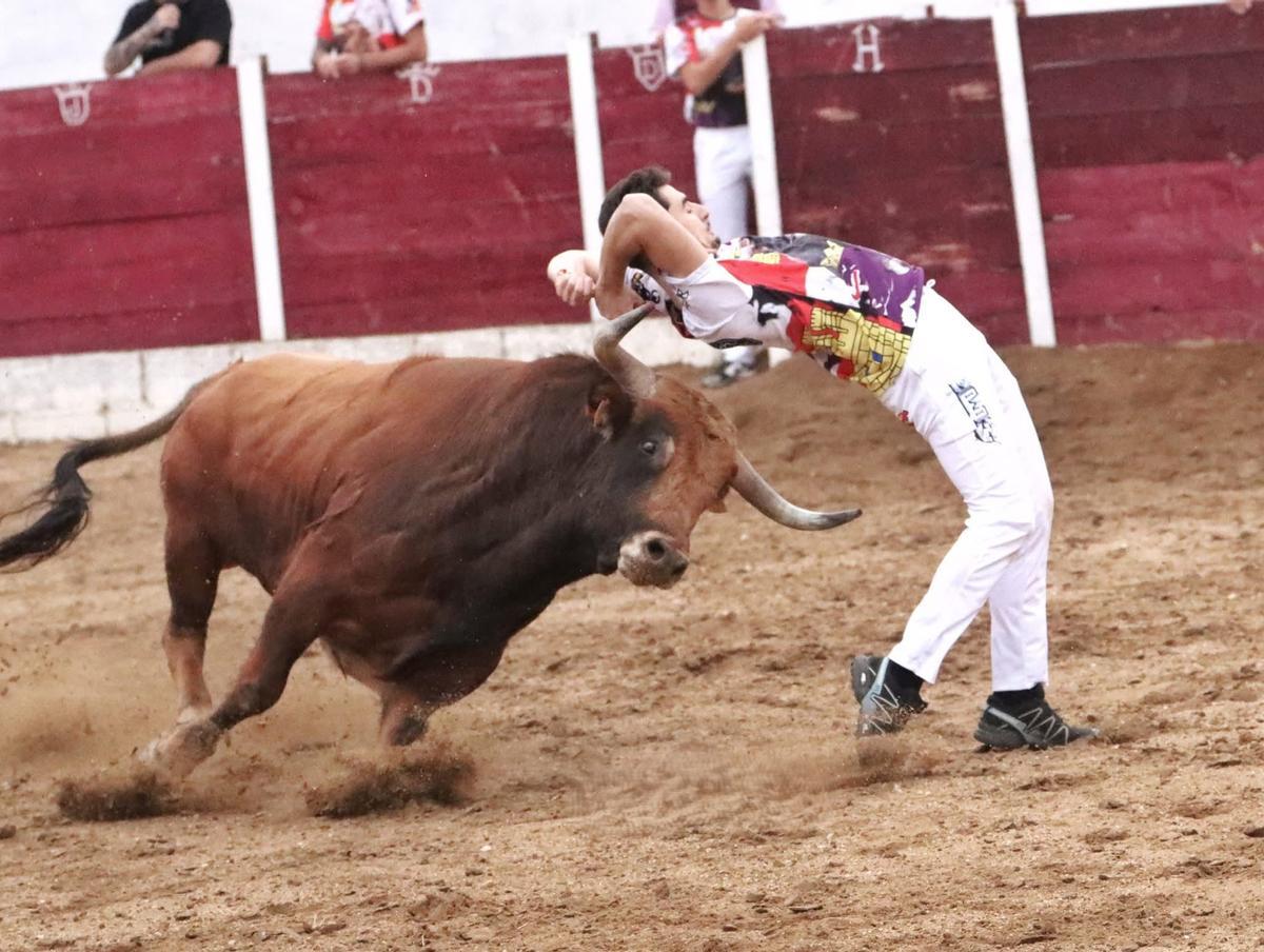 Daniel Bragado, haciendo un corte en San Miguel de la Ribera.