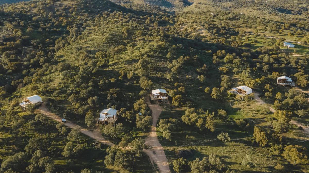 Entorno natural | Panorámica de este camping de lujo ubicado en el término municipal de Adamuz.