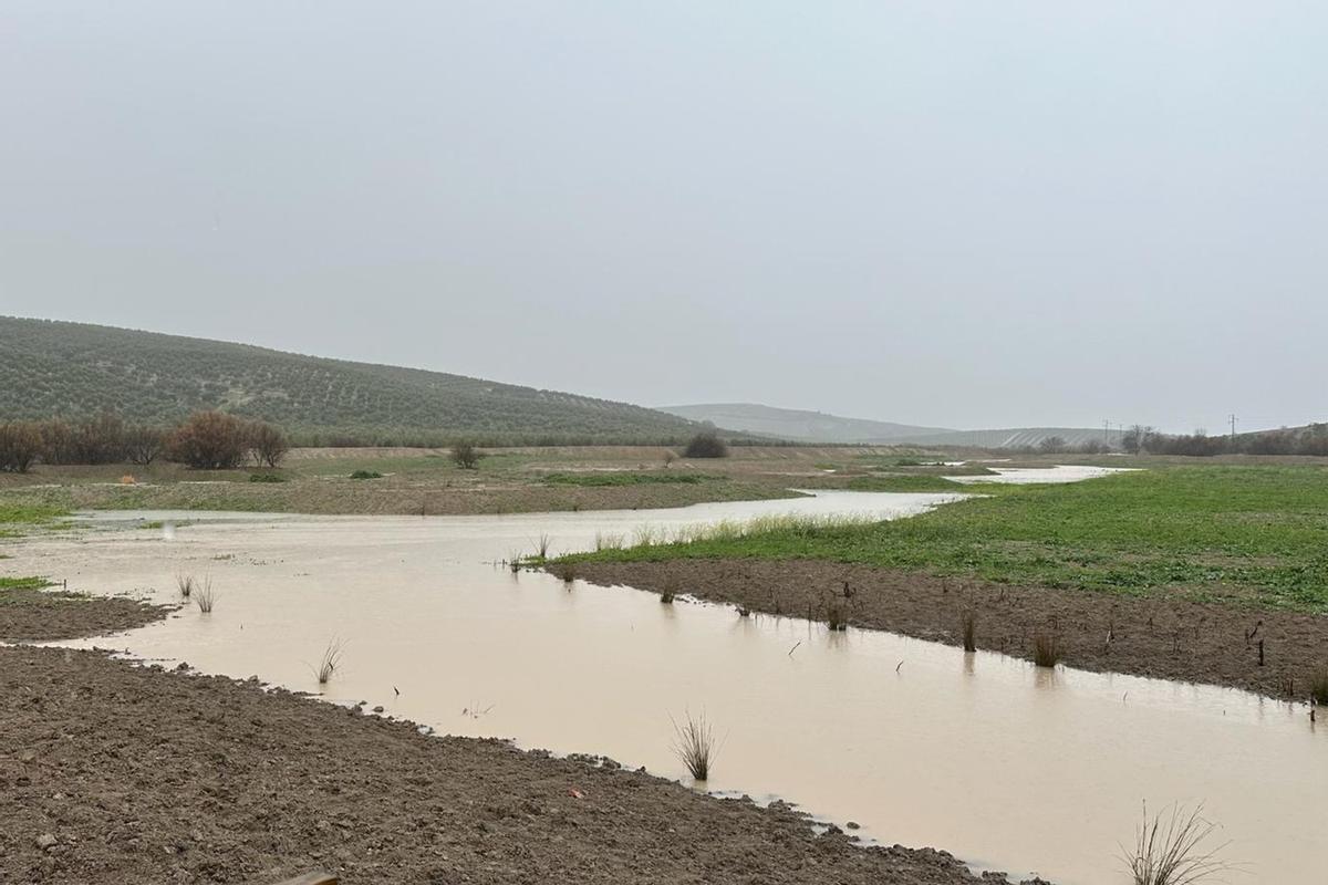 La laguna se extiende a lo largo de unas 13,4 hectáreas.