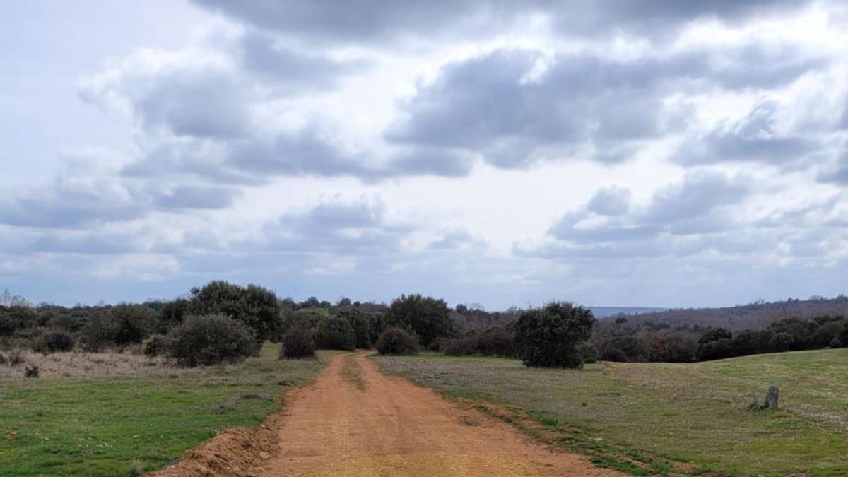 Vereda Real de Galicia a su paso por Bercianos de Aliste. | Ch. S.