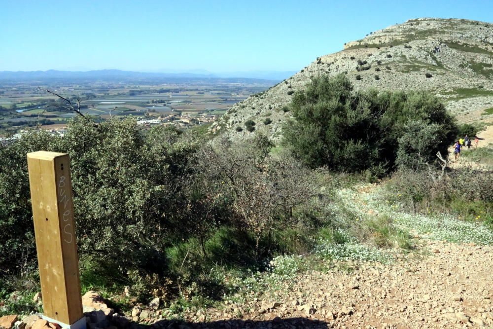 Avisen que es podria malmetre la zona de la duna continental al parc del Montgrí