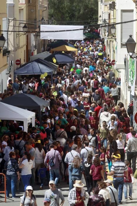 Trobada d'Escoles a l'Horta Nord