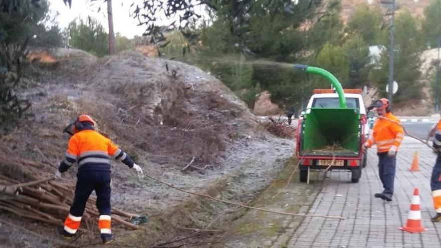 Alcoy prevé triturar los restos agrícolas como alternativa a las quemas