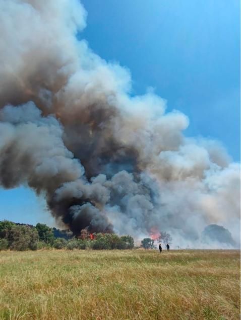 Una chispa provoca un incendio forestal en Lalín