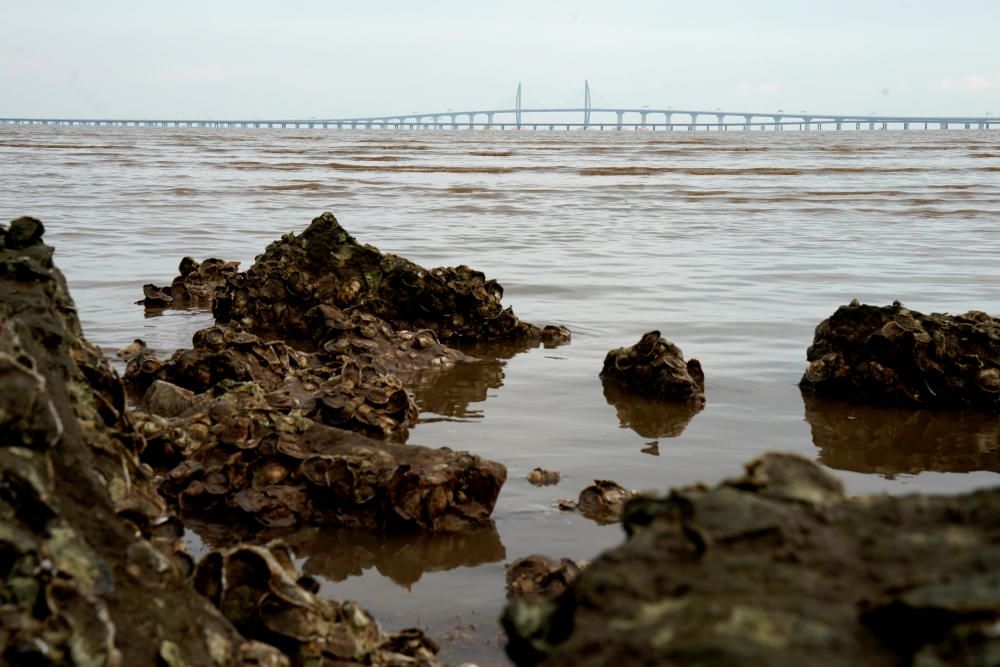 La Xina inaugura el pont marítim més llarg del món