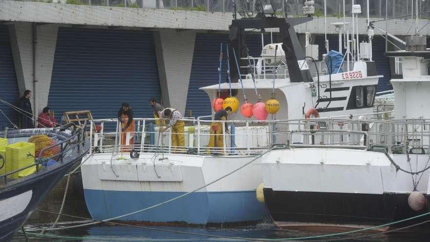 Barcos de la flota de arrastre coruñesa amarrados en el puerto de la ciudad. víctor echave