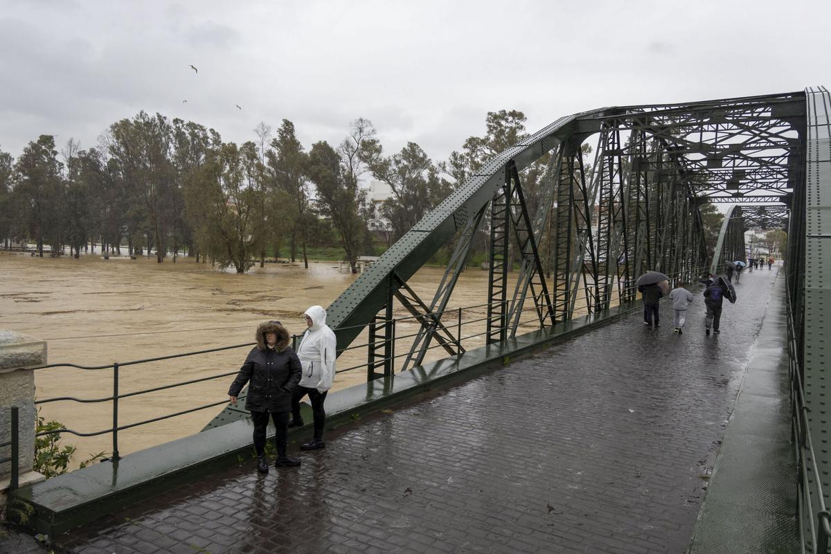 El río Guadalhorce a su paso por el puente de hierro de la Estación de Cártama