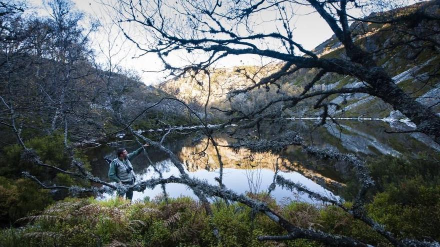 Las 100 fotos que demuestran que el otoño es la mejor época para conocer Asturias