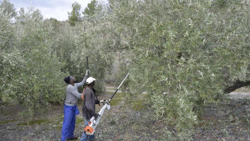 Córdoba encadena un trimestre de subida del paro al contabilizarse 949 desempleados más