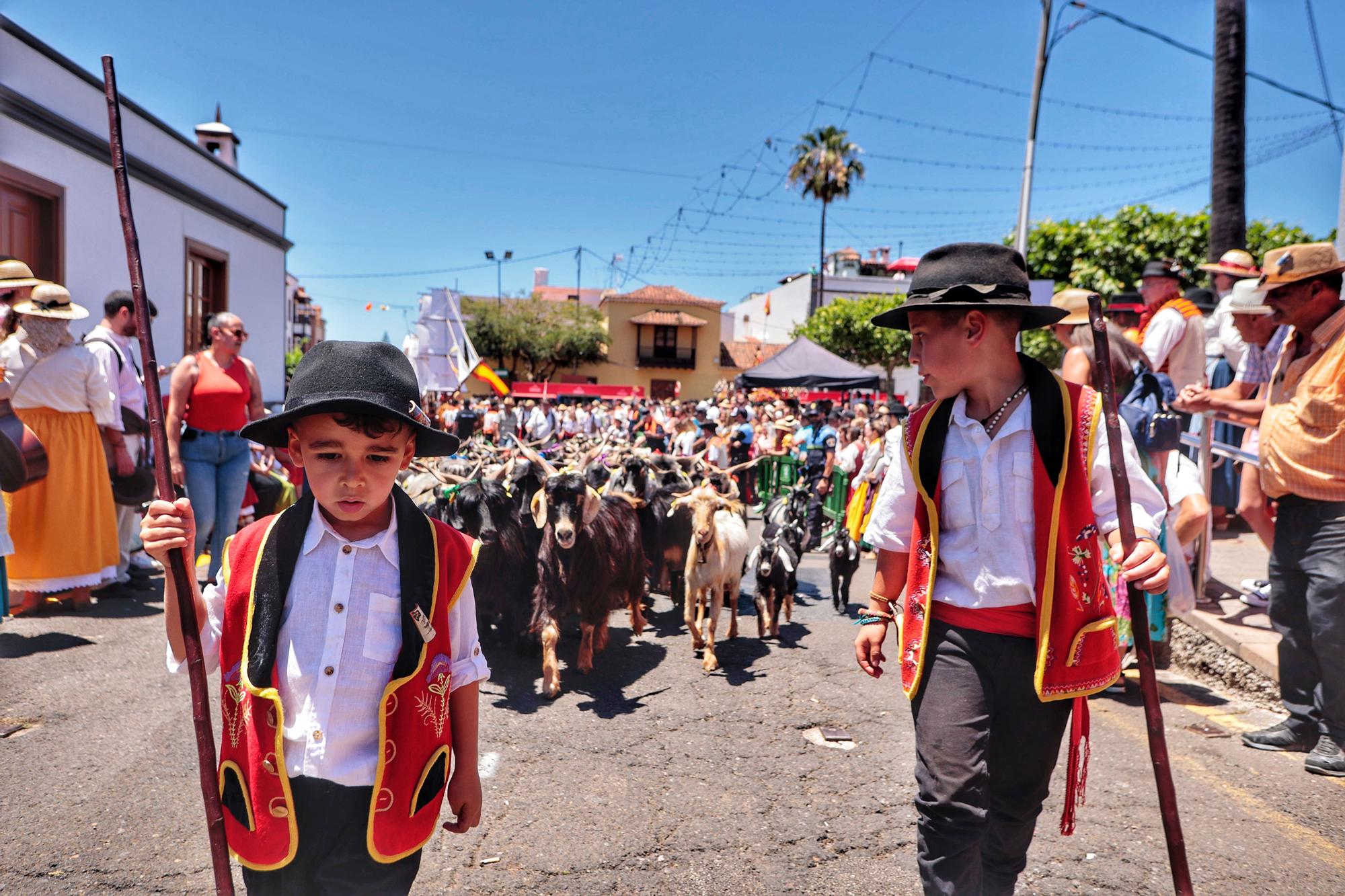 Romería de Tegueste