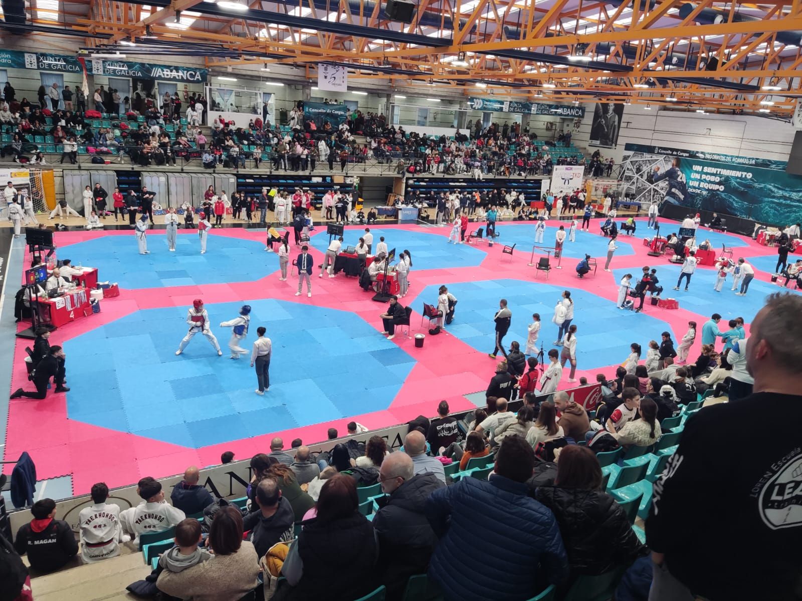 El Campeonato Gallego de Promesas y Veteranos llena O Gatañal de aficionados al taekwondo