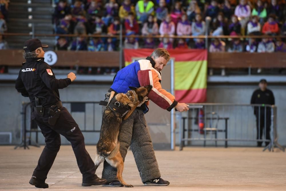 Exhibición de unidades especiales de la PN