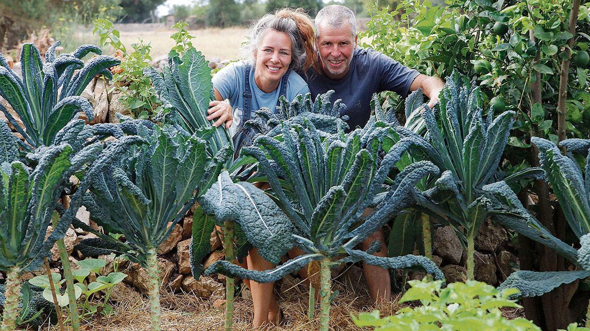 Hannah Frase und Georg Bräutigam hinter Palmkohlstauden, die in einem von Mauern umgebenen Gemüsegarten gedeihen.