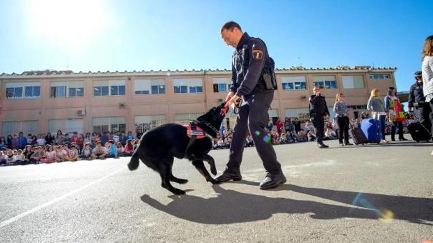 La Policía Local dio una exhibición con los perros «Inca» y «X»