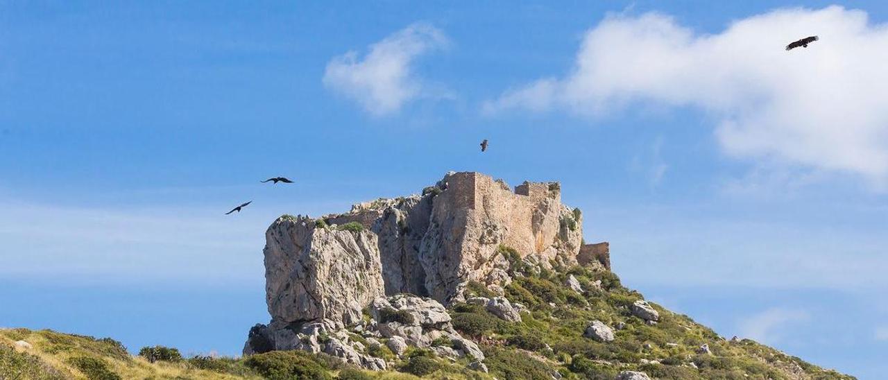 Imagen del Castell del Rei, ubicado en una zona de exclusión de Ternelles.