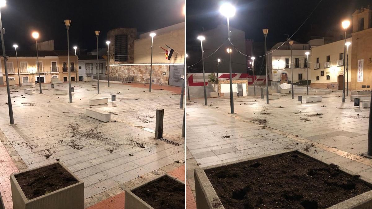 Las flores y la tierra esparcidas por la plaza de Santa María tras ser arrancadas.