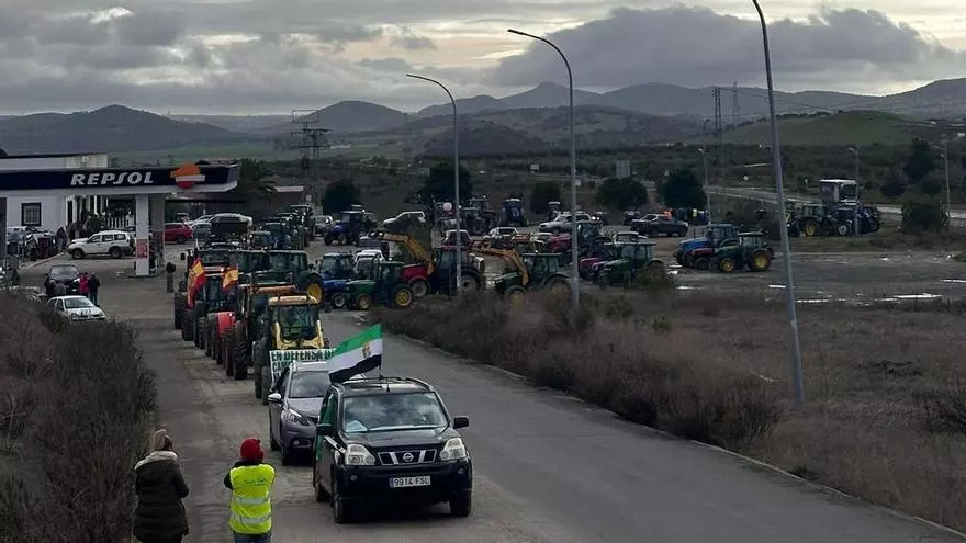 Asaja anuncia una gran manifestación regional que cortará Cáceres: "Llegaremos a la Subdelegación, con las colmenas abiertas o cerradas"