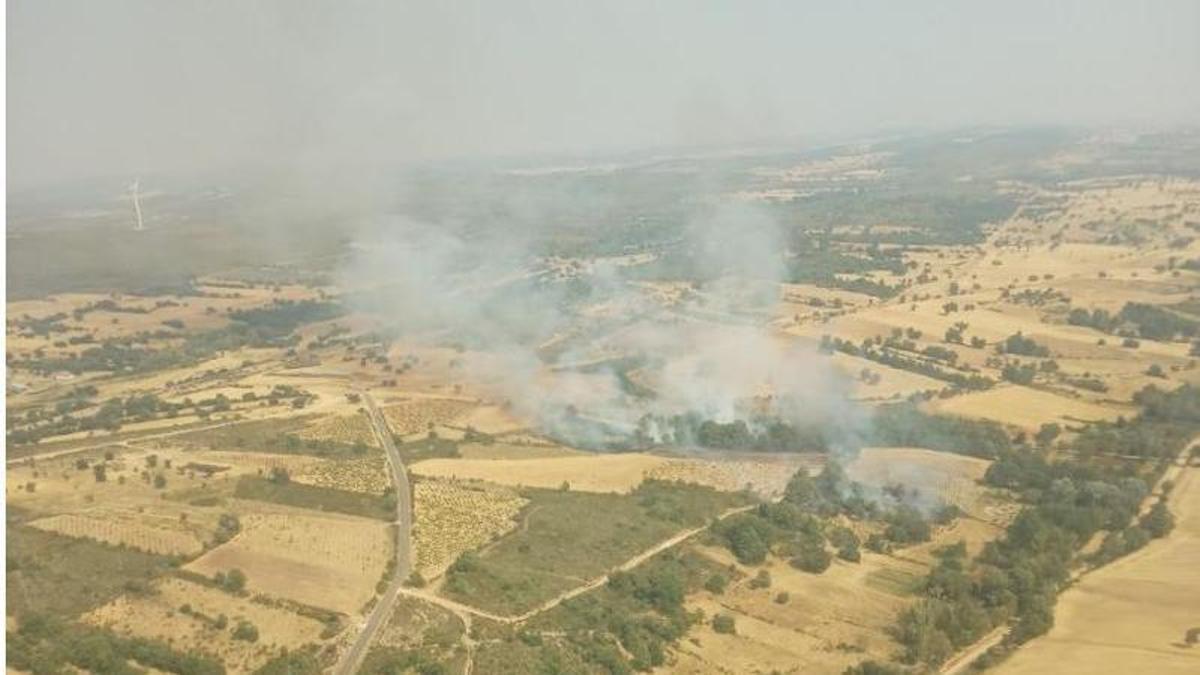 Terrenos en los que se ha originado el incendio forestal de Ferreruela de Tábara.