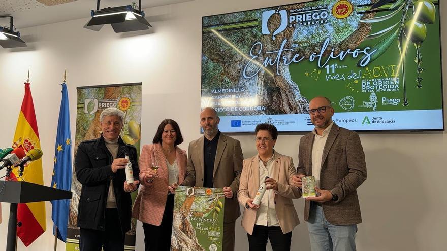 El mes del aceite de la DOP Priego de Córdoba rendirá un especial tributo a la variedad picuda