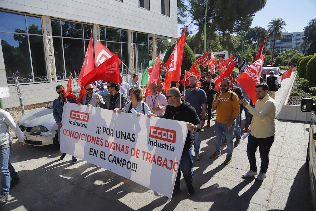 Reparto de naranjas reivindicativo de las organizaciones agrarias cordobesas