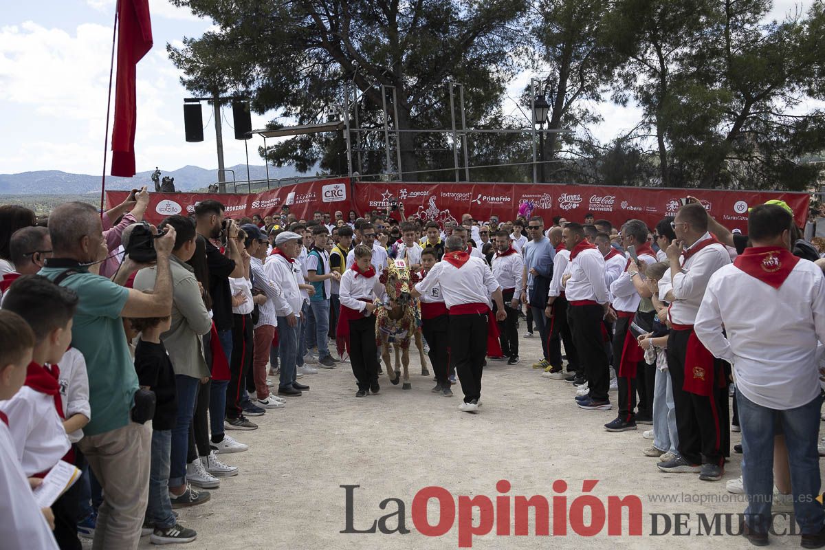Fiestas de Caravaca | Desfile infantil del Bando de los Caballos del Vino