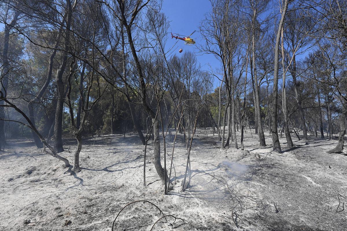 Les imatges de l'incendi de Vilavenut Les imatges de l'incendi de Vilavenut