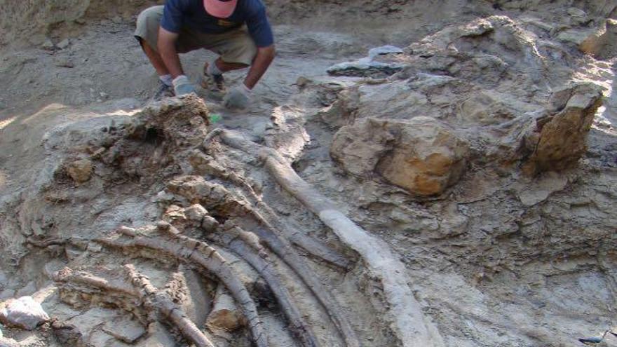 Turisme instalará seis réplicas de dinosaurios en yacimientos arqueológicos de la Comunitat