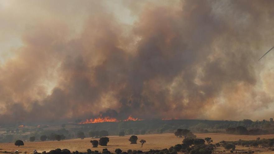 ÚLTIMA HORA | Alerta por incendio forestal en Losacio con desalojo de vecinos y ganado