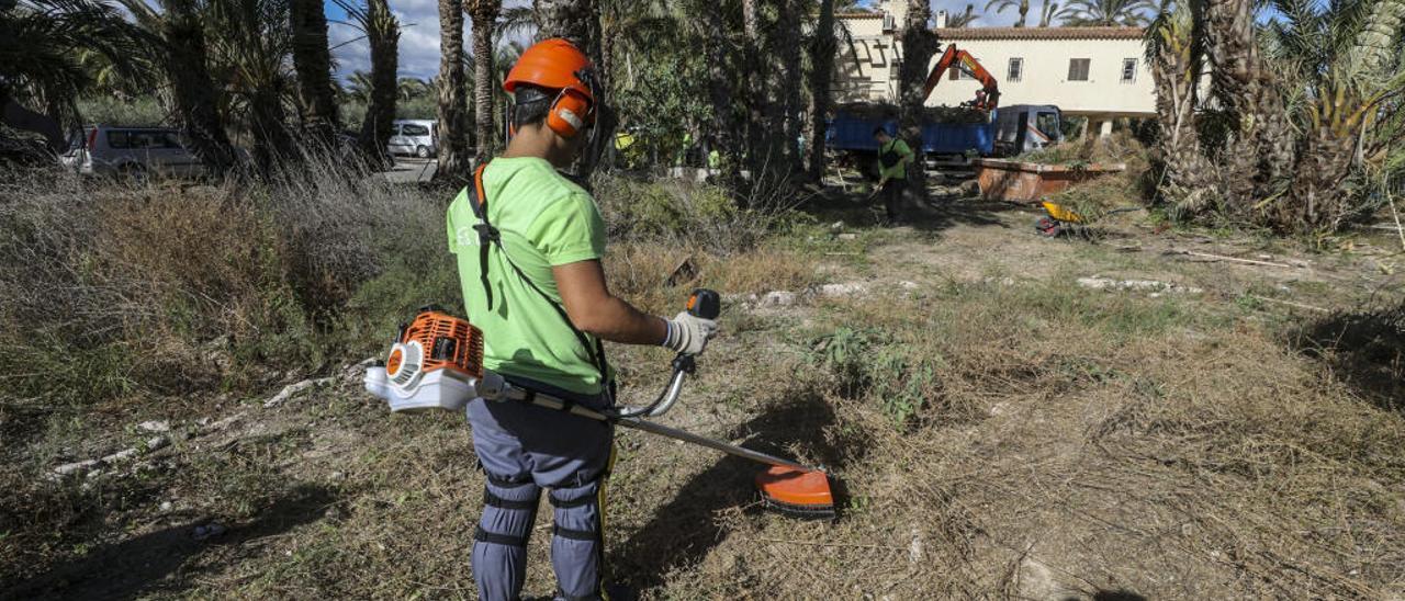 Alumnos y profesores del IES La Torreta trabajando ayer en la limpieza del jardín del albergue de los cazadores de El Hondo.