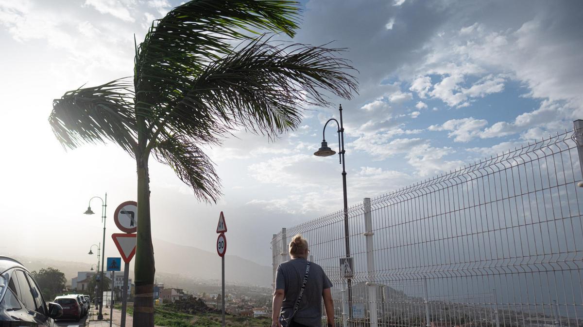 Canarias vive un temporal de viento en noviembre con vientos de más de 90 kilómetros por hora.