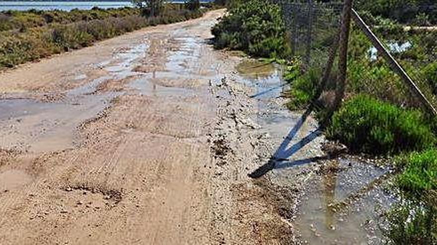 Vertido en la entrada del camí d&#039;es Brolls, en s&#039;Estany Pudent, en pleno Parque Natural de ses Salines.