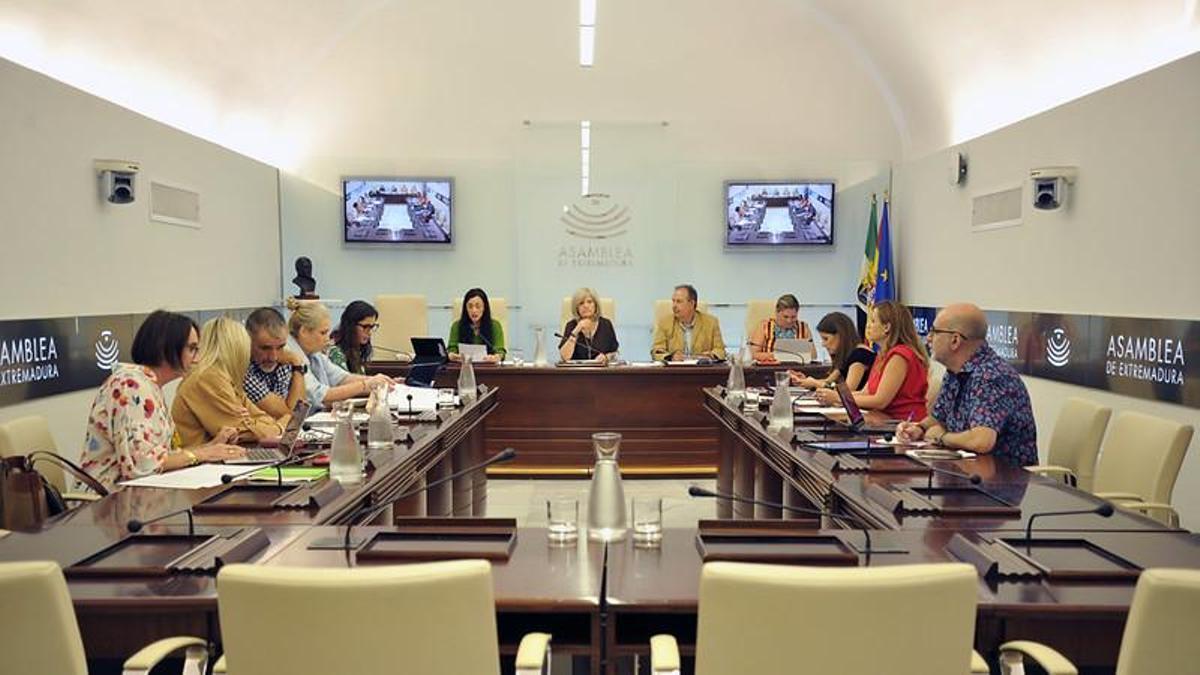 Comisión de Salud y Atención a la Dependencia de la Asamblea de Extremadura.