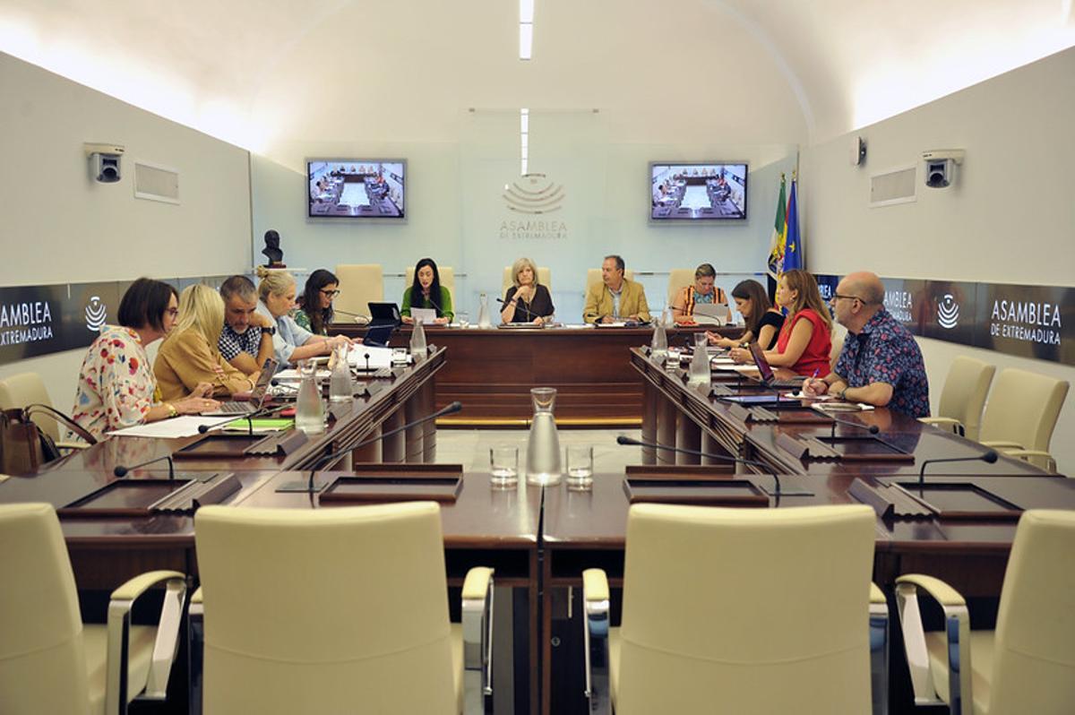 Comisión de Salud y Atención a la Dependencia de la Asamblea de Extremadura.