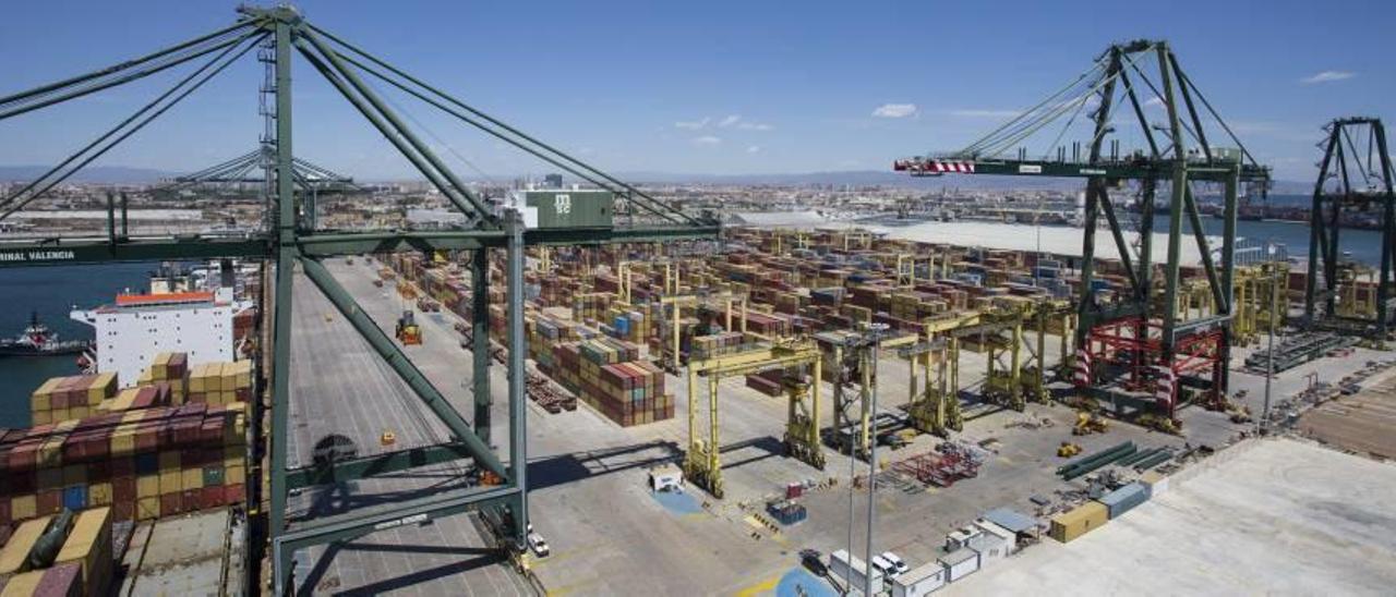 MSC pide ampliar su concesión en el Puerto tras crecer su negocio un 12 %