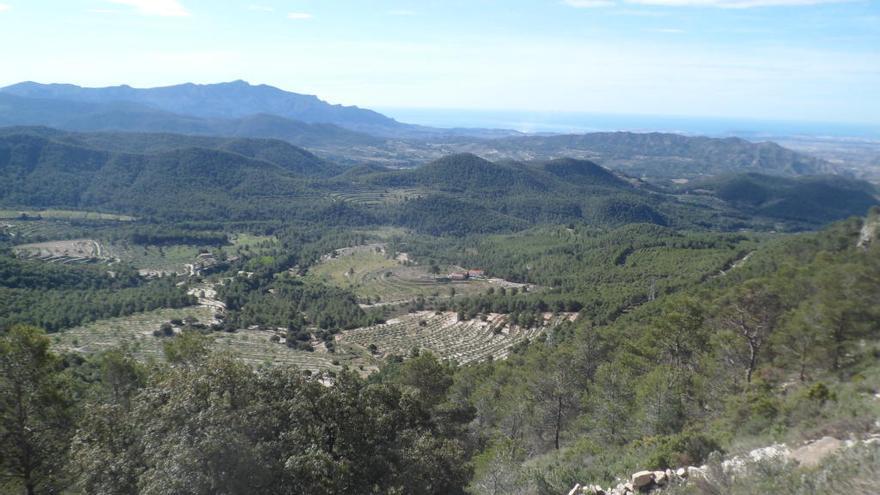 Vistas desde la cima de La Carrasqueta de la partida de Bugaia, en primer término, en cuyo entorno se proyecta el campamento turístico.