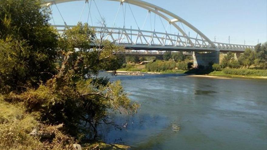 Un lujo en Zaragoza