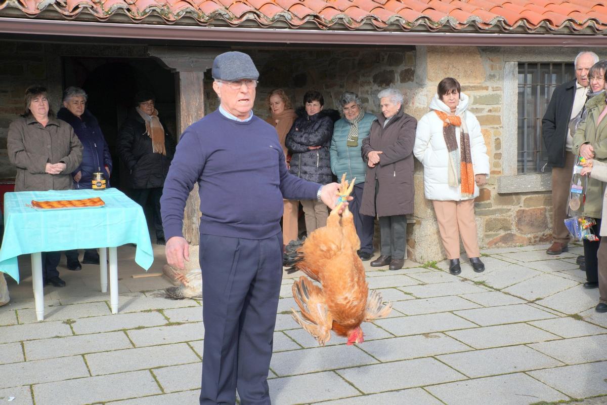 San Antón "triunfa" en San Vitero