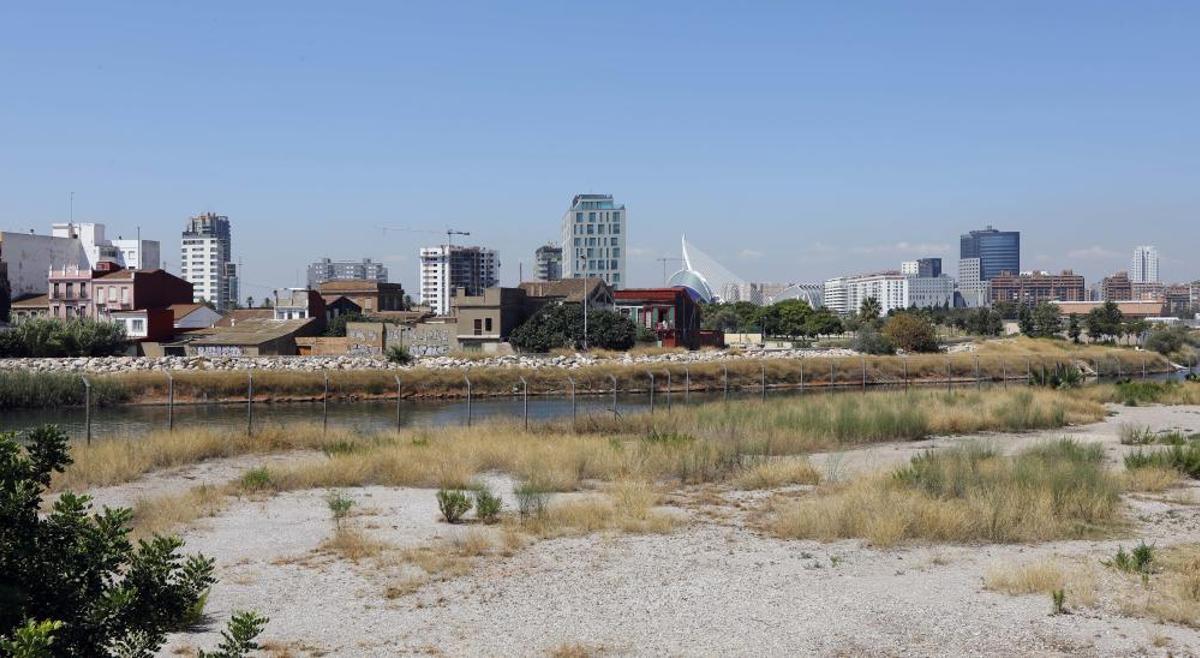 València tendrá un gran delta verte València tendrá un gran delta verte
