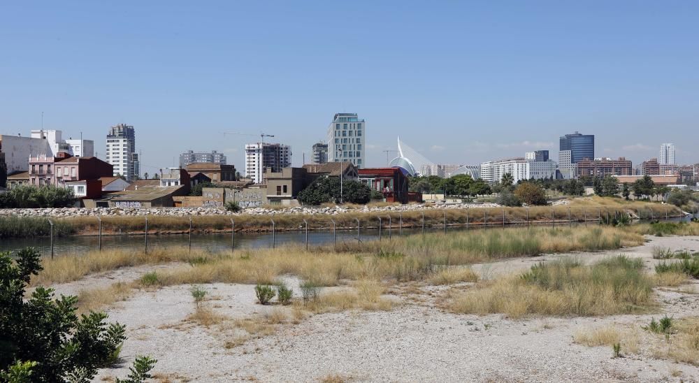 València tendrá un gran delta verte