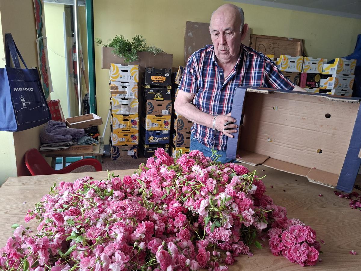 En imágenes: Los artistas florales de Castropol encaran la recta final para el Corpus Christi