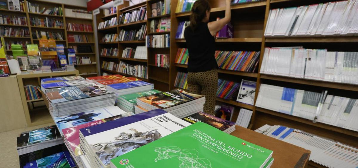 Los libros gratuitos alivian en casi 300 € la vuelta a las aulas más cara | FOTOS DE FERNANDO BUSTAMANTE