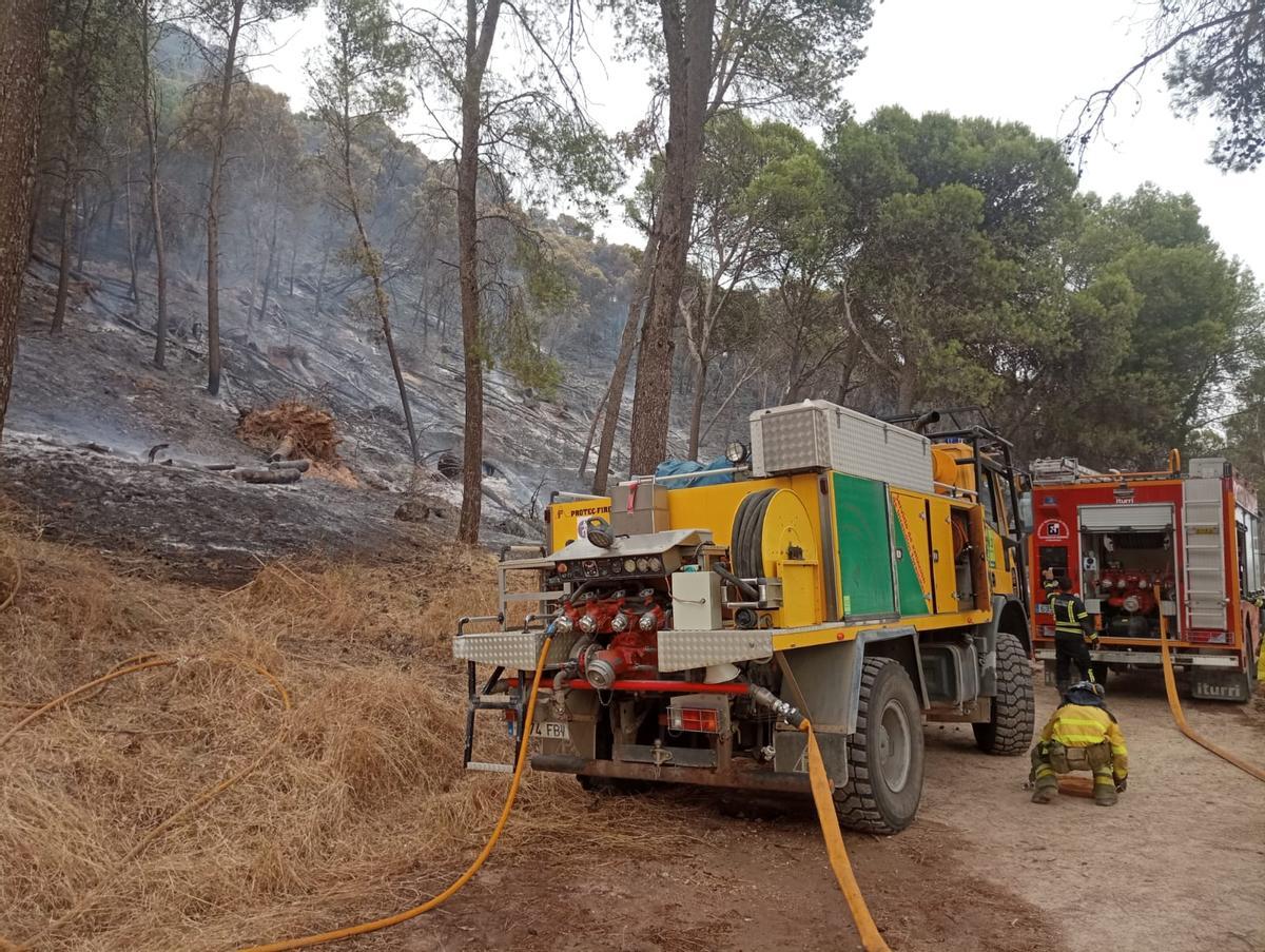 El Infoca combate un grave incendio forestal en Rute El Infoca combate un grave incendio forestal en Rute