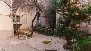Este jardín en La Latina recupera la flora del Madrid medieval y preindustrial de los tiempos de San Isidro
