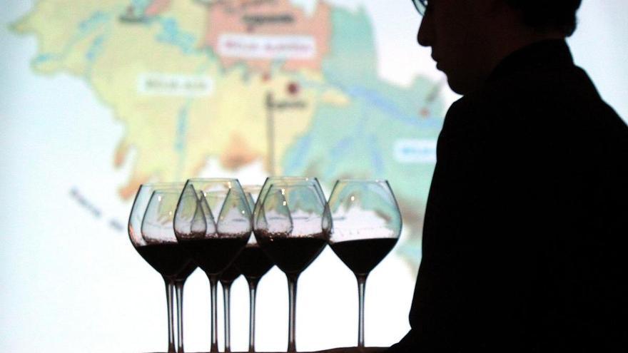 Más de 50 vinos de la DO Toro se suben al podio de las medallas &quot;Decanter&quot;