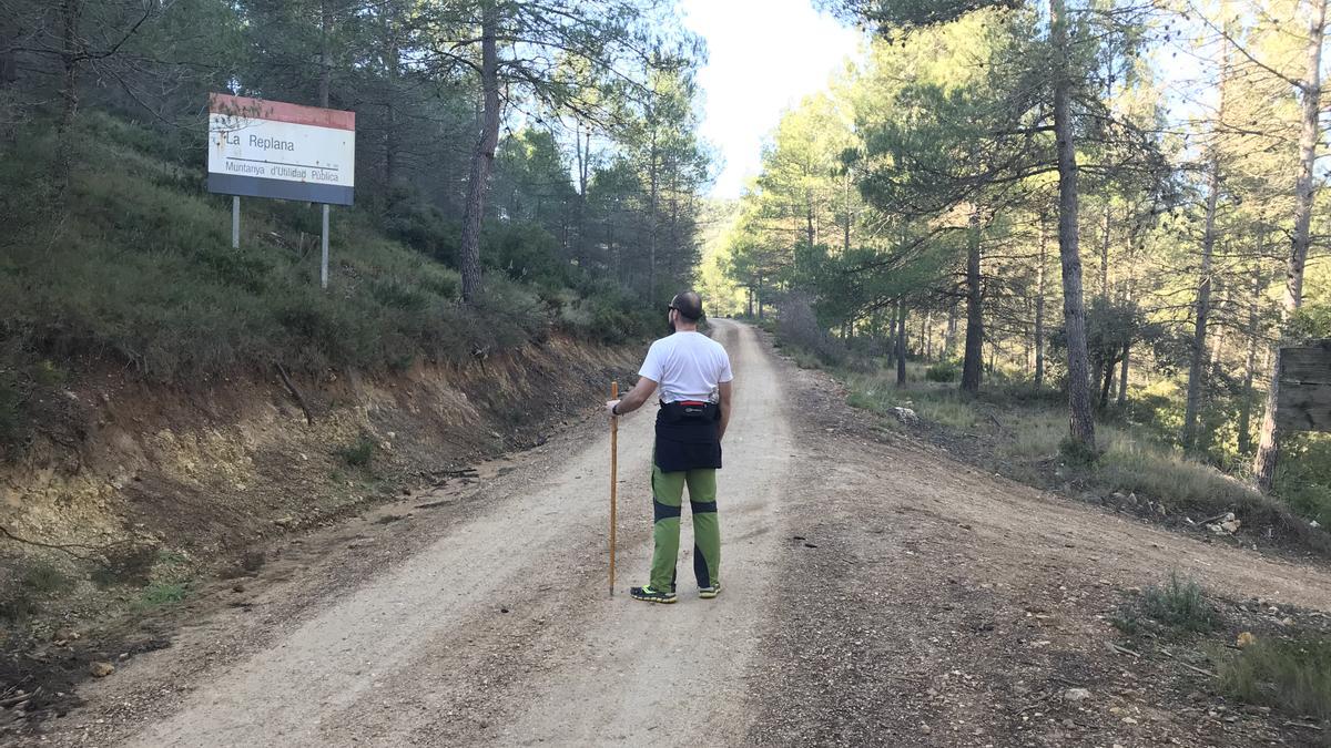 La Replana, en la sierra de La Solana de Beneixama, se queda fuera del plan de ayudas contra los incendios forestales.