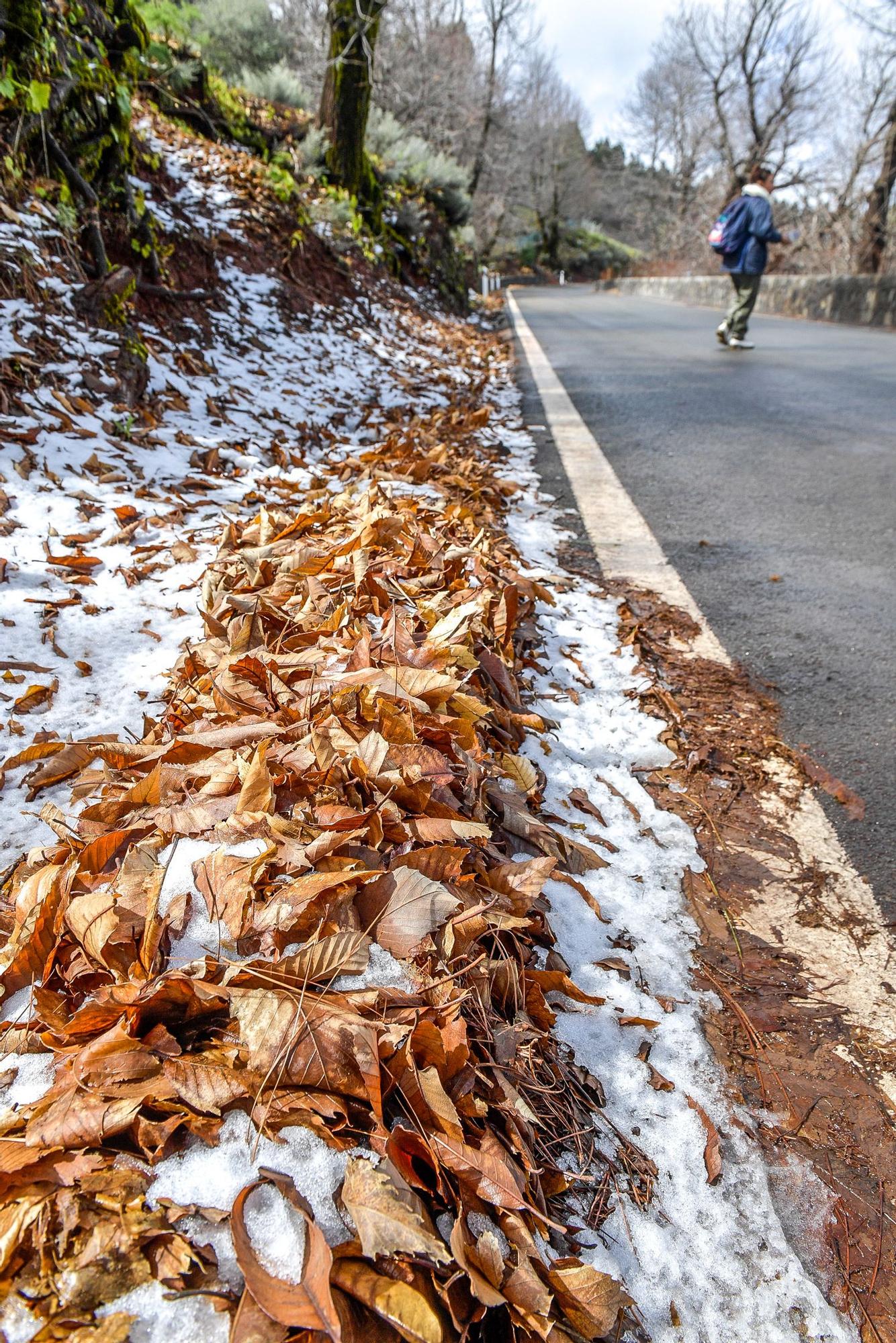 Nevada en Gran Canaria (16/02/23)