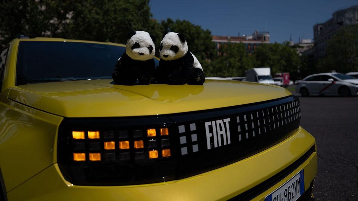 fiat grande panda.jpg